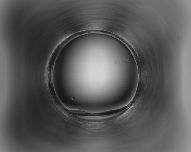 X0000093471119200710121420
