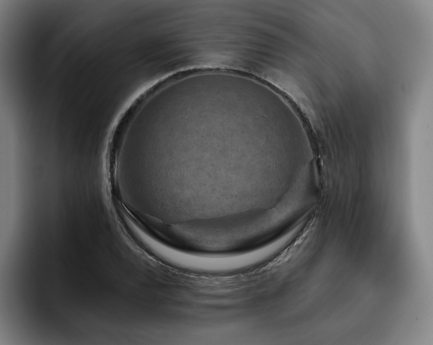 X0000093471120200710121420