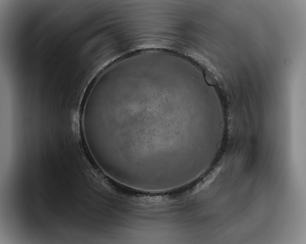 X0000093471121200710121420