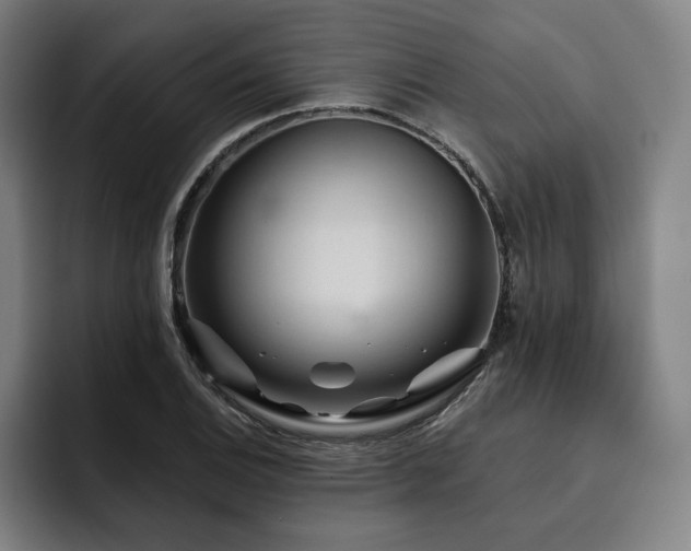 X0000093471124200710121420