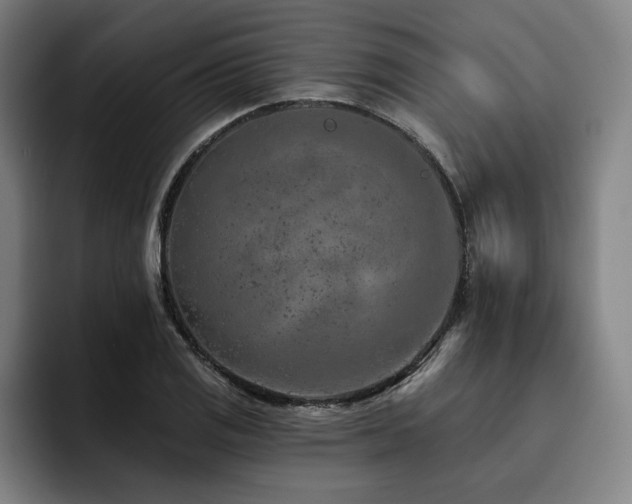 X0000093471125200710121420