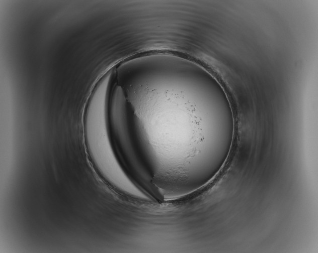 X0000093471129200710121420