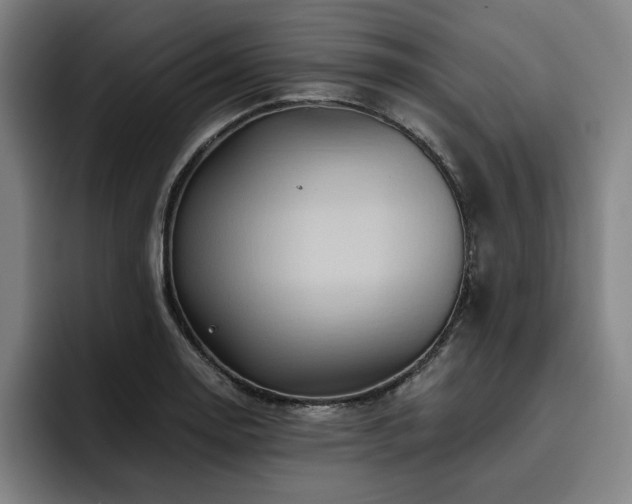 X0000093471130200710121420