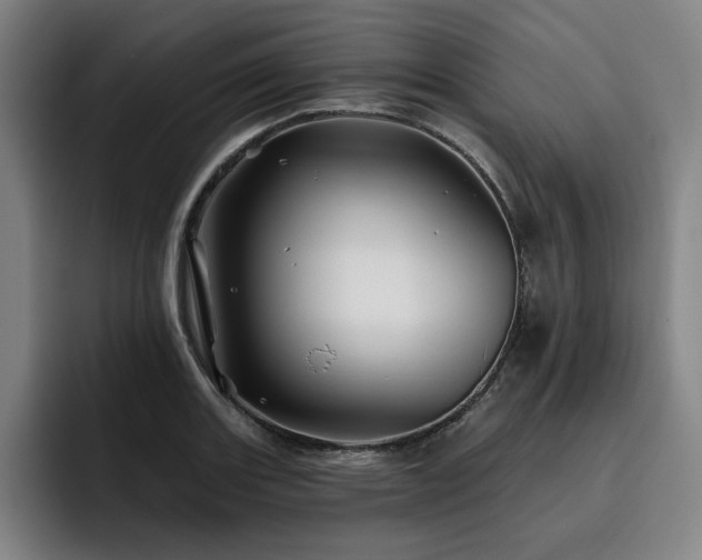 X0000093471131200710121420