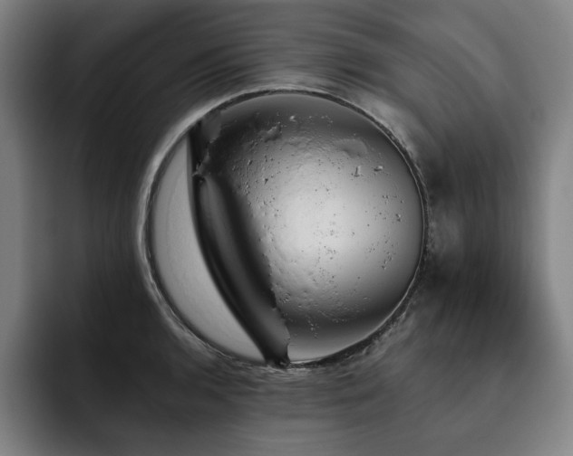 X0000093471136200710121420