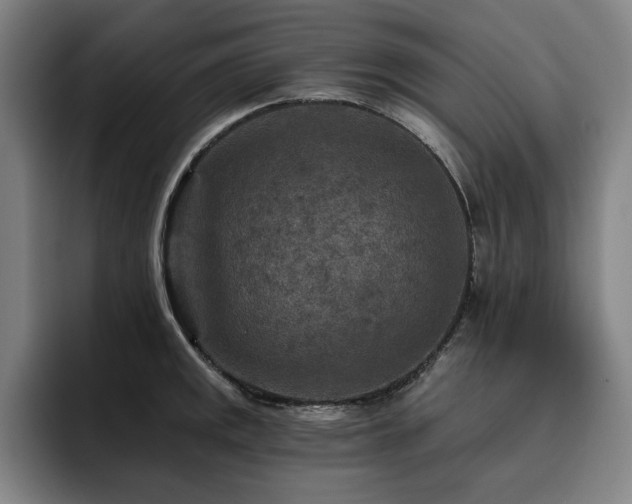 X0000093471141200710121420