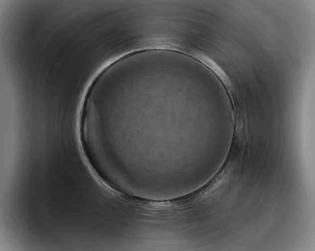 X0000093471144200710121420