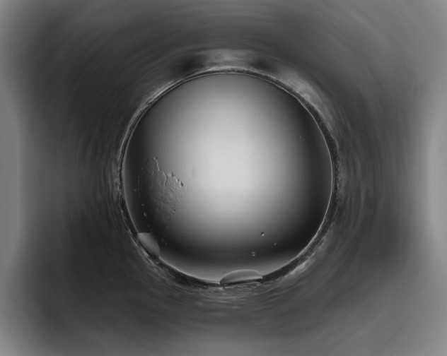 X0000093471145200710121420