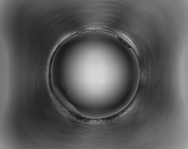 X0000093471146200710121420
