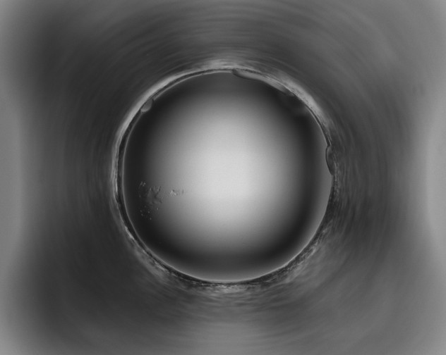 X0000093471148200710121420
