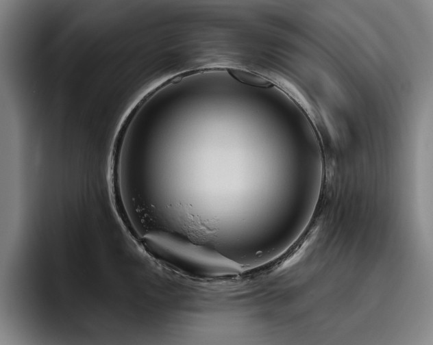 X0000093471149200710121420