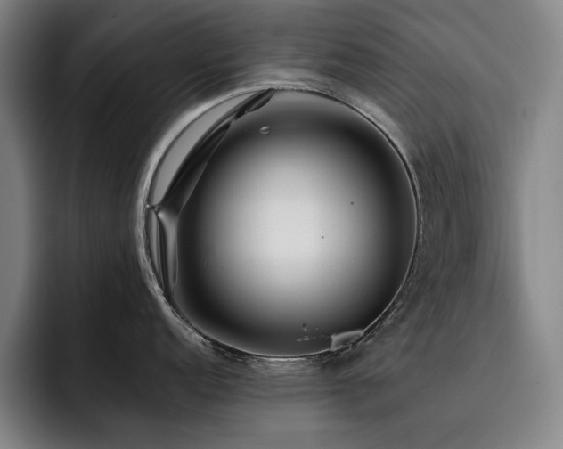 X0000093471152200710121420