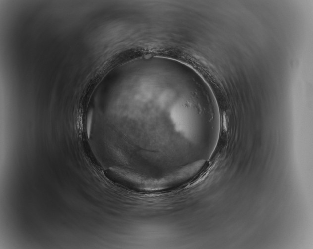X0000093471155200710121419