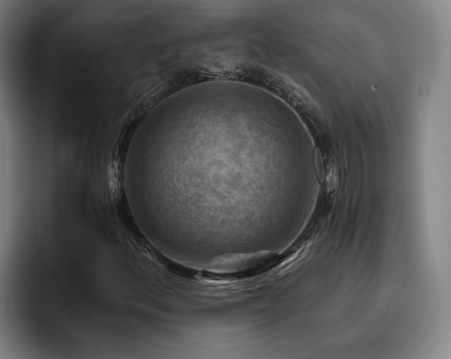 X0000093471156200710121419