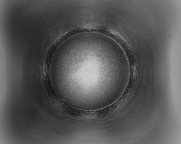 X0000093471158200710121419