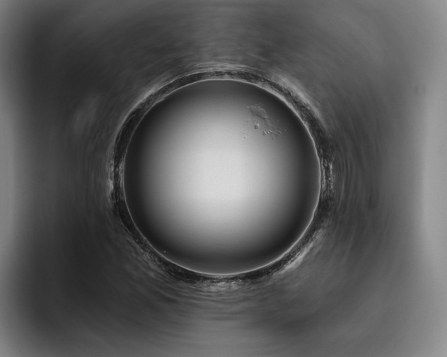 X0000093471165200710121419