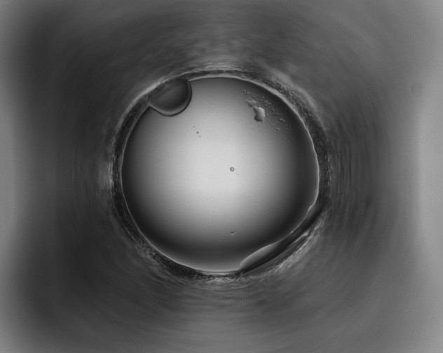 X0000093471166200710121419