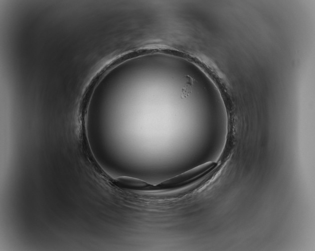 X0000093471167200710121419