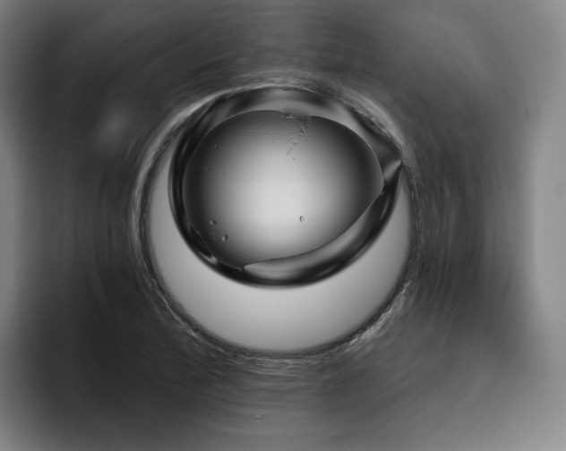 X0000093471172200710121419