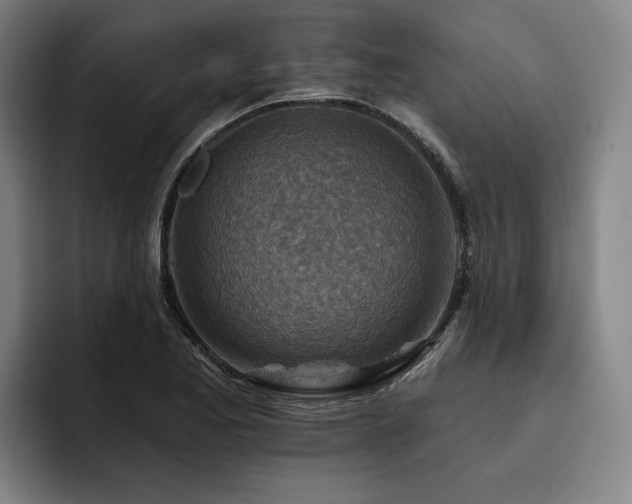 X0000093471173200710121419