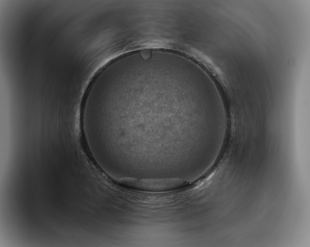 X0000093471174200710121419