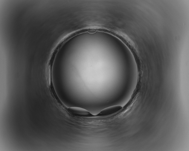 X0000093471175200710121419