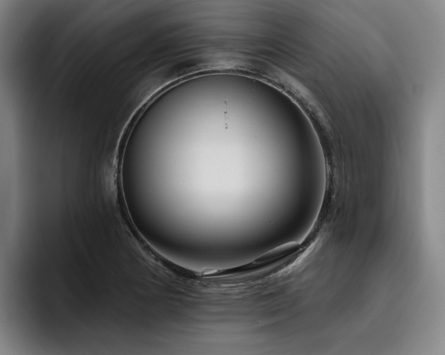 X0000093471178200710121419