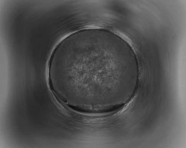 X0000093471179200710121419