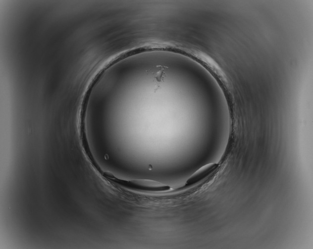 X0000093471183200710121419