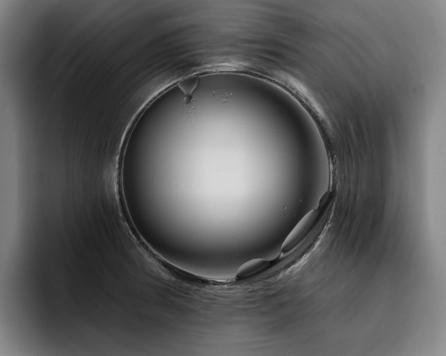 X0000093471186200710121419