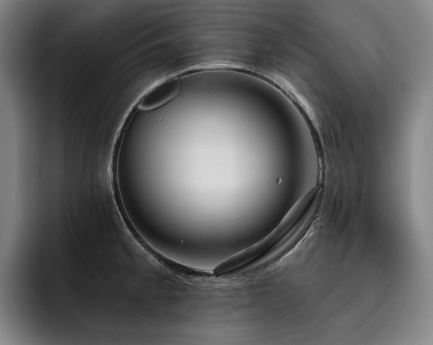 X0000093471189200710121419