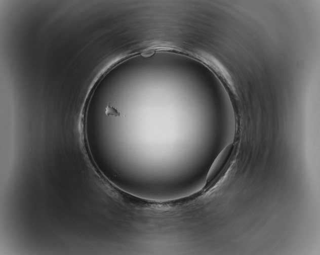 X0000093471190200710121419