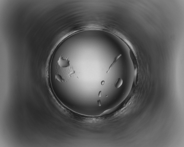X0000093471195200710121419