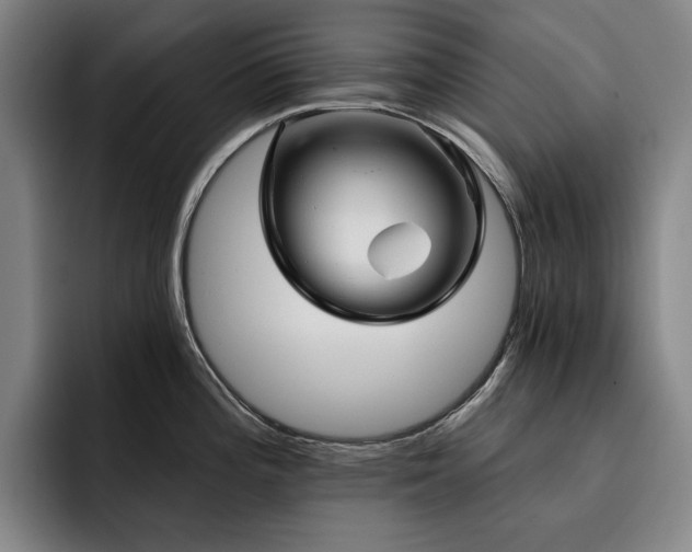 X0000093471196200710121419