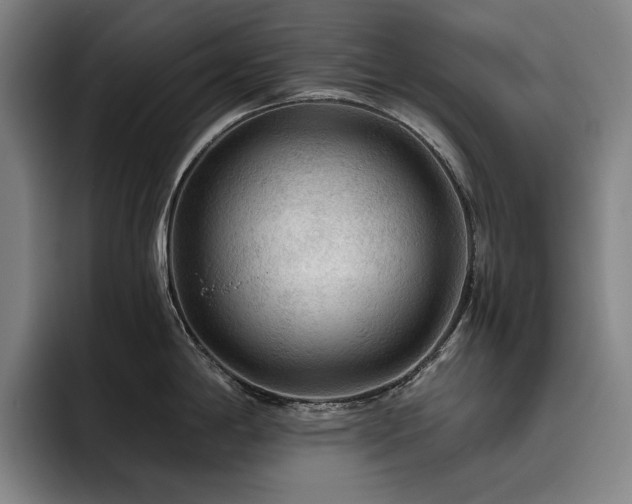 X0000093471198200710121419