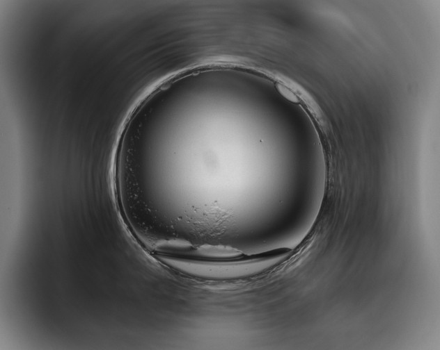 X0000093471199200710121419