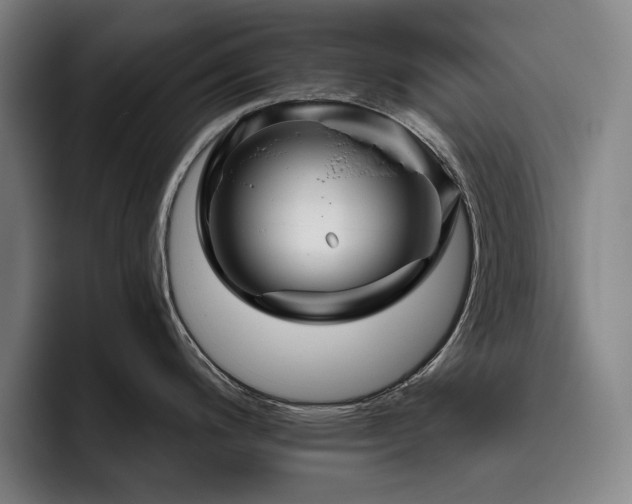 X0000093471200200710121419