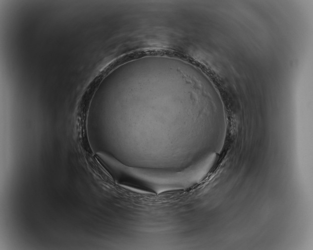X0000093471208200710121418