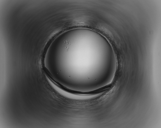 X0000093471218200710121419
