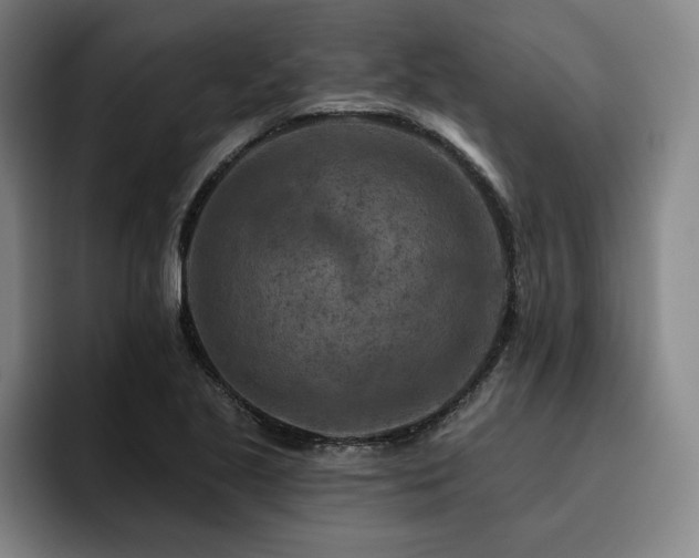 X0000093471221200710121419