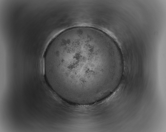 X0000093471223200710121419