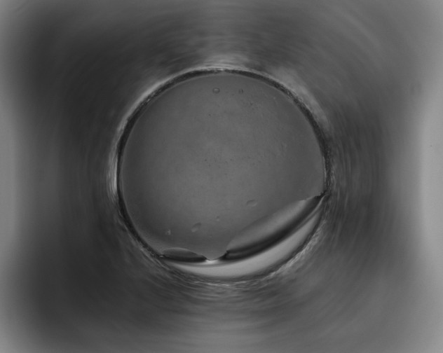 X0000093471224200710121419