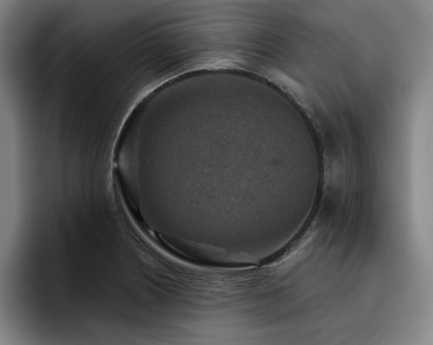 X0000093471226200710121419