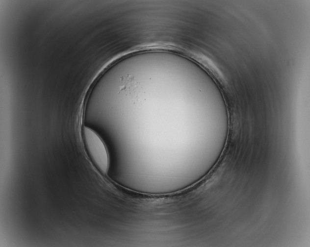 X0000093471228200710121419