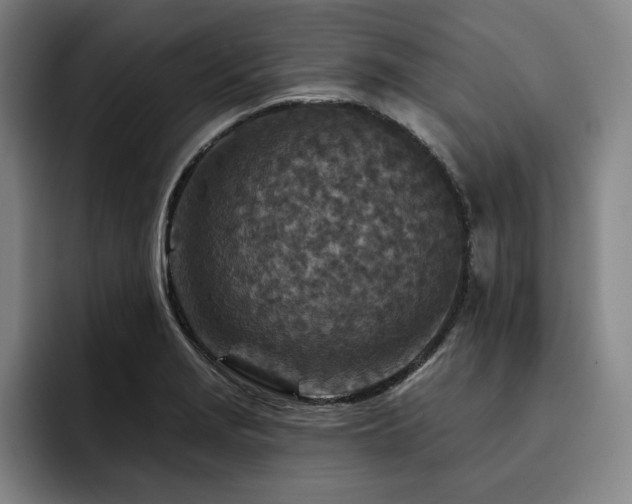 X0000093471229200710121419