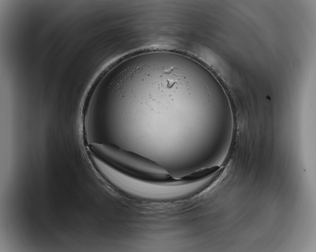 X0000093471232200710121419