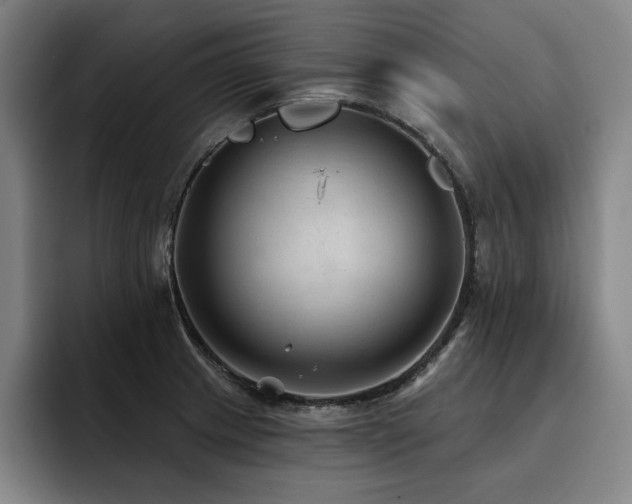 X0000093471233200710121419