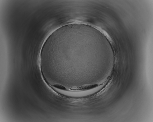 X0000093471247200710121419