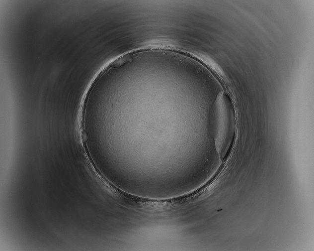 X0000093471248200710121419