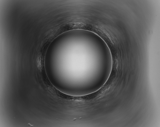 X0000093471250200710121418